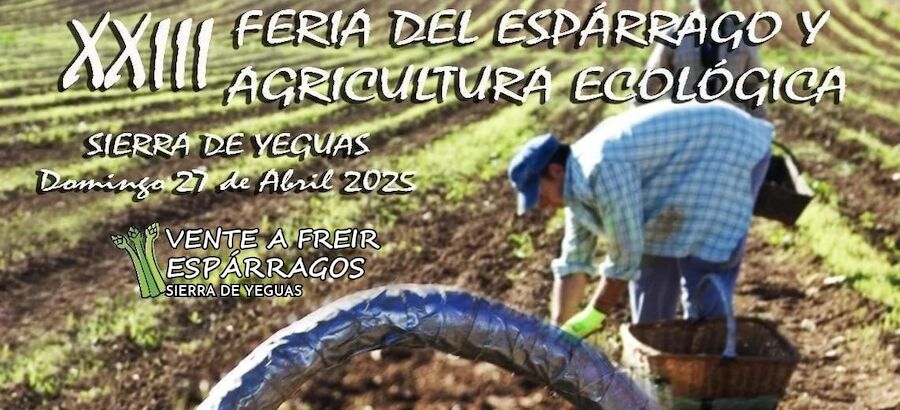 La XXIII Feria del Esprrago y la Agricultura Ecolgica se celebra en Sierra de Yeguas Mlaga