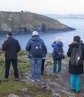 NatureWatch Galicia 2022 concluye con xito de participacin 