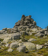 10 aos del Parque Nacional de la Sierra Guadarrama  