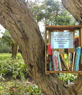 Naturaleza escrita los mejores libros para este otoo 2022 