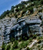 El Parque Natural Sabinares del ArlanzaLa Yecla busca el sello de Turismo Sostenible 