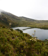 El Parque Nacional Natural Chingaza ecoturismo a dos horas de Bogot 