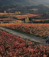 La Rioja y San Sebastin entre los lugares ms acogedores del mundo  