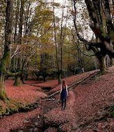 Parque Natural de Gorbeia 32 empresas comprometidas con el turismo tico y sostenible