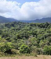 Chucant la mayor reserva de biodiversidad en Panam  