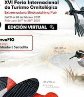 Vuelve virtualmente la 16 edicin de FIO Monfrage en Extremadura