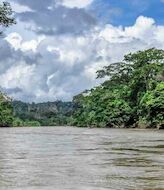 Parques Nacionales Naturales de Colombia apuesta por la conservacin del Paramillo 