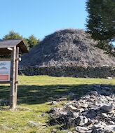 Asociacin Micorriza recuperar la naturaleza y la cultura del Alto Tajo 