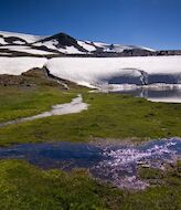 Noviembre se estrena con el II Festival de Ecoturismo de Sierra Nevada 