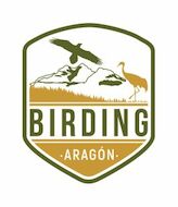 Birding Aragn sobrevolando sus potenciales 