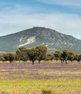 Diez espacios en la Red Natura 2000 de CastillaLa Mancha 