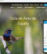 SEOBirdLife incorpora 88 nuevas especies a su gua de aves 