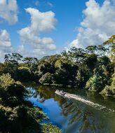 La mitad de la Amazona podra desaparecer en 2050 alterando el clima de la Tierra 