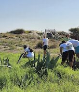 Ms de 42000 personas visitan los entornos naturales de la Comunitat Valenciana 