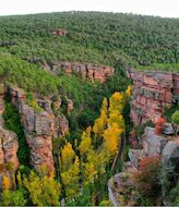 Fundacin Ibercaja organiza conferencias sobre la naturaleza de Guadalajara 