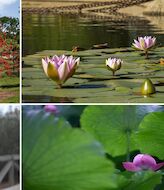 Parque botnico Celestino Mutis Un oasis de biodiversidad en Huelva