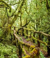 Sabes cul fue el primer Parque Nacional de Espaa 