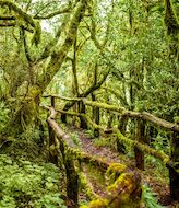 Sabes cul fue el primer Parque Nacional de Espaa 