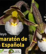 La Sociedad Botnica Espaola impulsa el primer Biomaratn Floral 