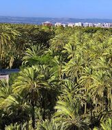 El palmeral de Elche galardonado en los Premios Ecoturismo 2021 