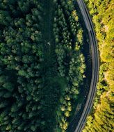 El Fondo Porvenir sembrar 2000 rboles en dos Parques Naturales de Colombia 