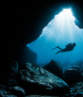 Mejores zonas de buceo para descubrir la naturaleza marina de Espaa 