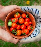 Comer naturaleza Conoce los mejores restaurantes ecolgicos de Espaa 