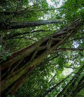 Naturaleza mgica leyendas sobre espacios naturales de Espaa 