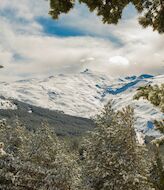 Sierra Nevada y sus cuatro escapadas de ecoturismo para 2021 