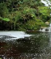 Seis parques naturales de Colombia poco frecuentados y accesibles 