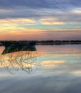   La Albufera de Valencia hogar de ms de 12000 flamencos  