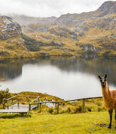 Ecuador cuenta con tres parques naturales de su zona austral 