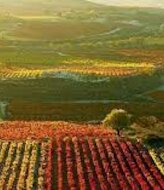 Nace el Clster de Productos Locales Gastronoma y Turismo rural de La Rioja 
