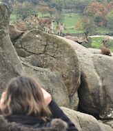 La Sierra de Guadarrama acoger el IV Encuentro NatureWatch Madrid