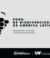 Llega el I Foro de biodiverciudades de Amrica Latina en Barranquilla