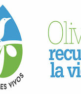 LIFE Olivares Vivos inicia su segunda edicin hasta 2026 