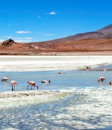 Los parques naturales de Chile en peligro por los yacimientos mineros 