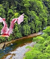 Todo lo que debes saber y visitar en Costa Rica cuna del ecoturismo  