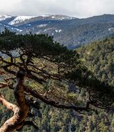 Los proyectos espaoles finalistas de los premios Natura 2000 