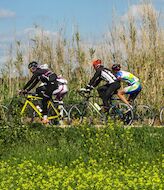 Activa Canarias apuesta por las buenas prcticas del ciclismo en la naturaleza 