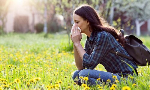 El polen te impide salir de casa Estos son los mejores destinos antipolen  