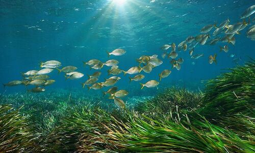 Baleares modifica la ley para ampliar la proteccin de espacios naturales 