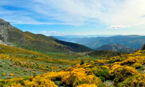 La Sierra de Guadarrama abre sus puertas en primavera con 27 actividades gratuitas  