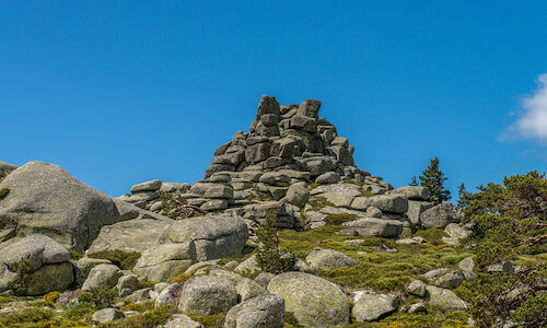 10 aos del Parque Nacional de la Sierra Guadarrama  