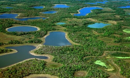 Pantanal y Bonito los mejores destinos de ecoturismo de Brasil 