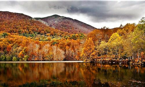 Los mejores bosques de Espaa recuperan su esencia con la llegada del otoo