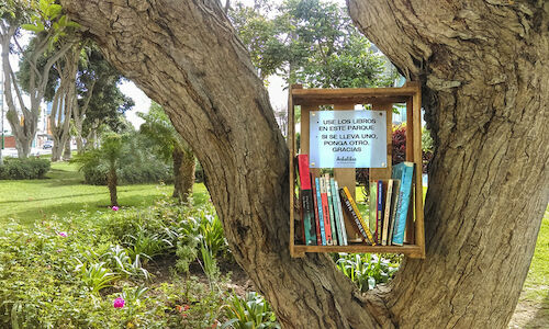 Naturaleza escrita los mejores libros para este otoo 2022 