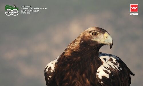 La Sierra Oeste de Madrid nueva sede del encuentro natureWatch  