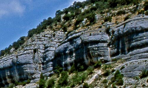 El Parque Natural Sabinares del ArlanzaLa Yecla busca el sello de Turismo Sostenible 