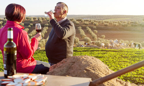 Planeando el puente de diciembre Descubre la Ruta del vino y cava de Ribera del Guadiana